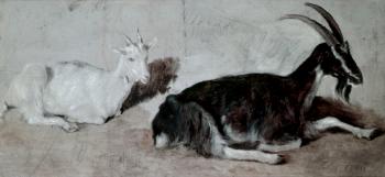 Jacques-Laurent Agasse : Two Goats